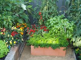 A raised bed is common for the garden, but if you use a unique material, it will immediately attract the eyes. Grow Vegetables Vegie Garden Design