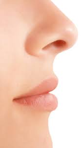 Here's How You Can Get Rid Of That Oily Nose | Times Of India