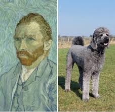 What's your puppy's name?