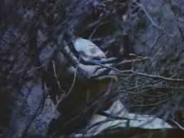 The guardian movie was a blockbuster released on 2006 in united states. The Guardian Trailer 1990 Youtube