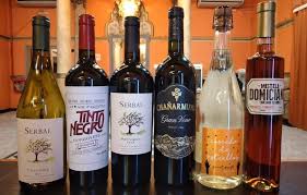 Soledad en sucupira, isabel margarita en estúpido cupido y eduarda patiño en aquellarre fueron algunos de los papeles que interpretó y quedaron en la retina de todos los chilenos. Uk3icfu1fedqtm