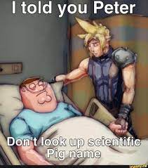 I Told You Peter Don T Look Up Scientific Pig Name
