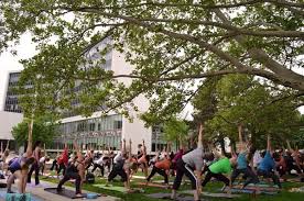 Maybe you would like to learn more about one of these? City Of Hamilton On Twitter Today Is The Launch Of Yoga City Hall A Free Yoga Session Every Wed 12pm This Summer Bring A Mat Water Hamont Http T Co Sffusgf26o