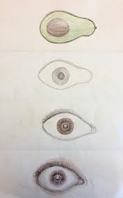 Metamorphosis By 8Th Grade – Synergeyes (Synergy School's Visual Arts Blog)