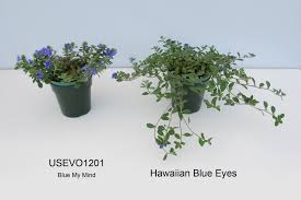 Maybe you would like to learn more about one of these? Canadian Food Inspection Agency Usevo1201