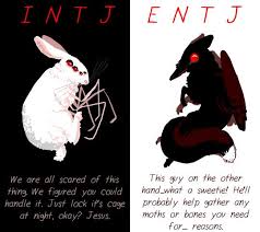 Sam S Sketchbook Mbti Intj Entj