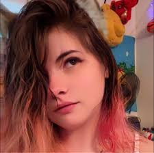 What are some friendly NA island servers for Ark Survival?