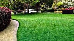 Search used cheap cars listings to find the best sarasota, fl deals. Florida Lawn Care Businesses For Sale Buy Florida Lawn Care Businesses At Bizquest
