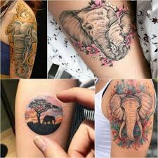 A universal symbol of strength, loyalty, divinity and good luck, an elephant makes an unforgettable tattoo design when carefully planned and properly. Elephant Tattoo Designs Most Popular Elephant Tattoos With Meaning
