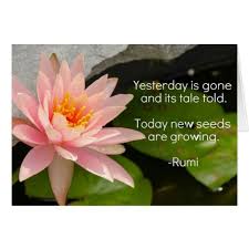 Image Result For Rumi Flower Quotes Flower Quotes Lotus Quote Rumi