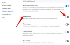 Zoom breakout rooms allows a host to break the primary meeting group into multiple subgroups. A Guide To Starting With Zoom Breakout Rooms