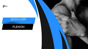 Image result for Shoulder Range of Motion