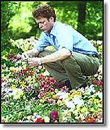 The people's princess's resting place is off limits to the public, but the small island can be viewed from a distance. Island Flowers Lord Spencer Walks Among The Flowers Flowers Strewn On Diana S Island Spokeswoman It S Ashes To Ashes Brother Says Thank You In An Extraordinary Acknowledgement Of People S Grieving Over The Death Of Diana Princess Of Wales Her