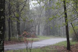 Pin On East Texas Piney Woods