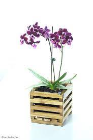 Happily ever after personalized keepsake memory box. Wood Orchid Baskets For Vanda Cattleya And Other Orchids Orchid Supplies Orchids Hanging Orchid