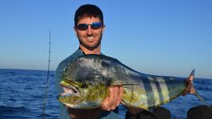 Check spelling or type a new query. Mahi Mahi From The Panga Boat Fishing Report From Mexico