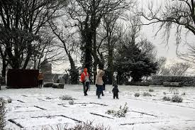 Les puits sahariens sont de simples trous creusés dans le sable. La Flandre Sous Une Pellicule De Neige Ce Dimanche