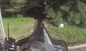 • 10x100 • 12x100 • 20x100 • 40x100 all with free shipping over $25! Don T Try This At Home Watch Footage From This Daredevil S Man Made 300 Foot Slip N Slide Cobbled Together From Cardboard And Plastic And Costing Only 65 Daily Mail Online