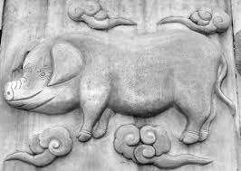 Planse de colorat cu jocuri. Zodiac Chinezesc Cum Sunt Copiii Nascuti In Anul Mistretului Sfatulparintilor Ro