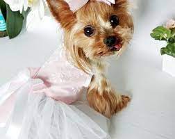 este articulo no esta disponible dog wedding dress dog clothes patterns girl dog clothes
