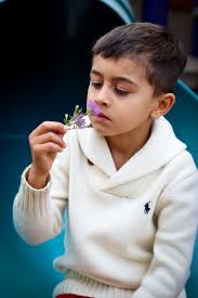 Preschool — Paul Cheever