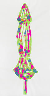 Bildergebnis für Denis Savary