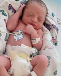 Lydia Marisol Elizalde (@marisol_elizalde1) • Instagram photos and videos