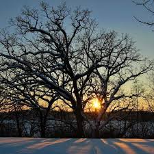 Summer solstice and winter solstice are the most common names, referring to the seasons they are the term solstice can also be used in a wider sense, as the date (day) that such astronomical almanacs define the solstices as the moments when the sun passes through the solstitial colure, i.e. Shortest Day Of The Year 2021