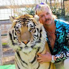 Tiger king and joe exotic have quickly become cultural phenomenons, a nearly impossible feat in the era of the coronavirus. What Happened After Tiger King The New York Times