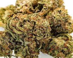 Best ways to consume hemp flower. Bulk Jack Frost Cbg Flower Industrial Hemp Farms