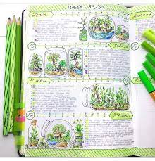 Nature Art Journal Carnets De Voyage Carnet Dessin