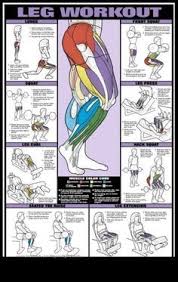 Legs Workout For Men Chart Google Search Exercise