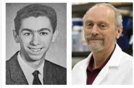 Hillsdale High School Alumni Association