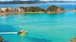 20 90 Off Activities In Bay Of Islands Northland Bookme