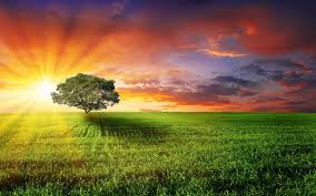Image result for free download photographs of sunrise