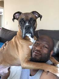 There's is nothing better than coming home to my bookie everyday♥️