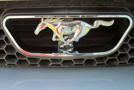 72 Mustang Logo Wallpaper On Wallpapersafari You will definitely choose from a huge number of pictures that option that will suit you exactly!