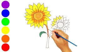 Ilmu pengetahuan 1 mewarnai bunga matahari di pot. Menggambar Dan Mewarnai Bunga Matahari Youtube