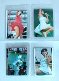 昭和アイドル・L版復活写真【お宝パンチラ…厳選32枚】【アルバム付き】(松田聖子・河合