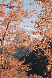 The great collection of hd nature wallpaper for iphone for desktop, laptop and mobiles. Best Fall Wallpapers For Your Iphone S Home Screen Aesthetic Popsugar Tech