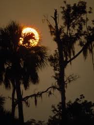 Sunset Over Florida S Suwannee River Photographic Print By Jodi Cobb At Art Com Sunset Photographic Print Florida