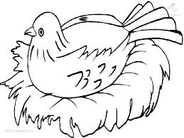 Attract birds by offering the best nesting material that will encourage them to build nests in your backyard. 1001 Coloringpages Animals Birds Nesting Bird Coloring Page