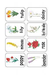 Did you know that the meaning of roses depends on its color? Clil Teaching Flowers 3 3 Pictures Esl Worksheet By Silvia Patti