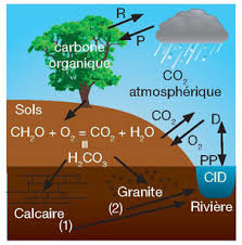 L'eau à découvert - 3. Composition chimique des eaux et variabilité  naturelle - CNRS Éditions
