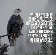 But eagle avoids rain by flying above. Motivation Quotes In Eagle Picture Quotes Quotemeeting Com