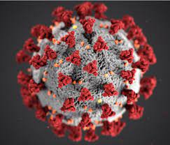 Stayed under 40000 for the third consecutive day, as vaccinations appeared set to be expanded to the variant of the coronavirus first detected in india, which is believed to be driving the explosion of cases there, has now been found in 49 countries. Corona Virus In Heidelberg Einfach Heidelberg