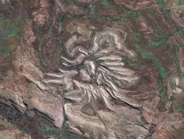 Image result for Craterocapsa