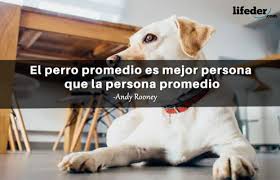 We did not find results for: Las 100 Mejores Frases Sobre Perros