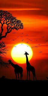 Find the best hp 4k wallpaper on getwallpapers. 17 Realme Wallpapers On Wallpapersafari