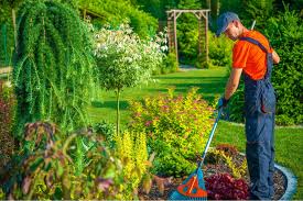 The key to finding a caterpillar is to learn about the different types of plants in your local area on which female butterflies like to lay their eggs. 5 Ways To Get Rid Of Caterpillars On Your Garden Plants Tuffarm Com Home And Garden Design Ideas Tuffarm Com Home And Garden Design Ideas